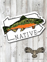 Native Trout decal