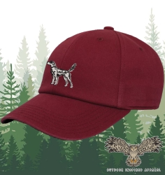 Setter hat