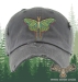 detail_146_hat_moth.jpg